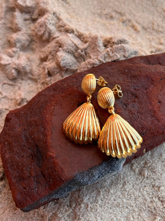 Shells earrings